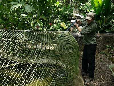 Study, Work and Volunteer - Freiwilligenarbeit – Conservation Projects, Costa Rica